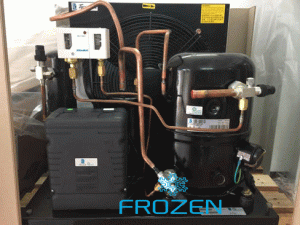 Cụm máy nén dàn ngưng Tecumseh Cụm máy nén dàn ngưng Tecumseh