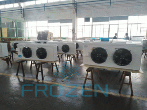 Dàn lạnh Kaideli KUDD022-E2C